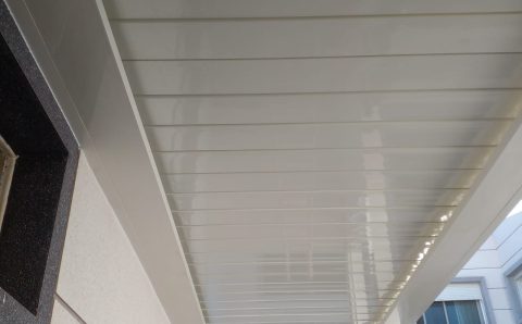 WhatsApp Image 2023-11-17 at 1.58.27 PM